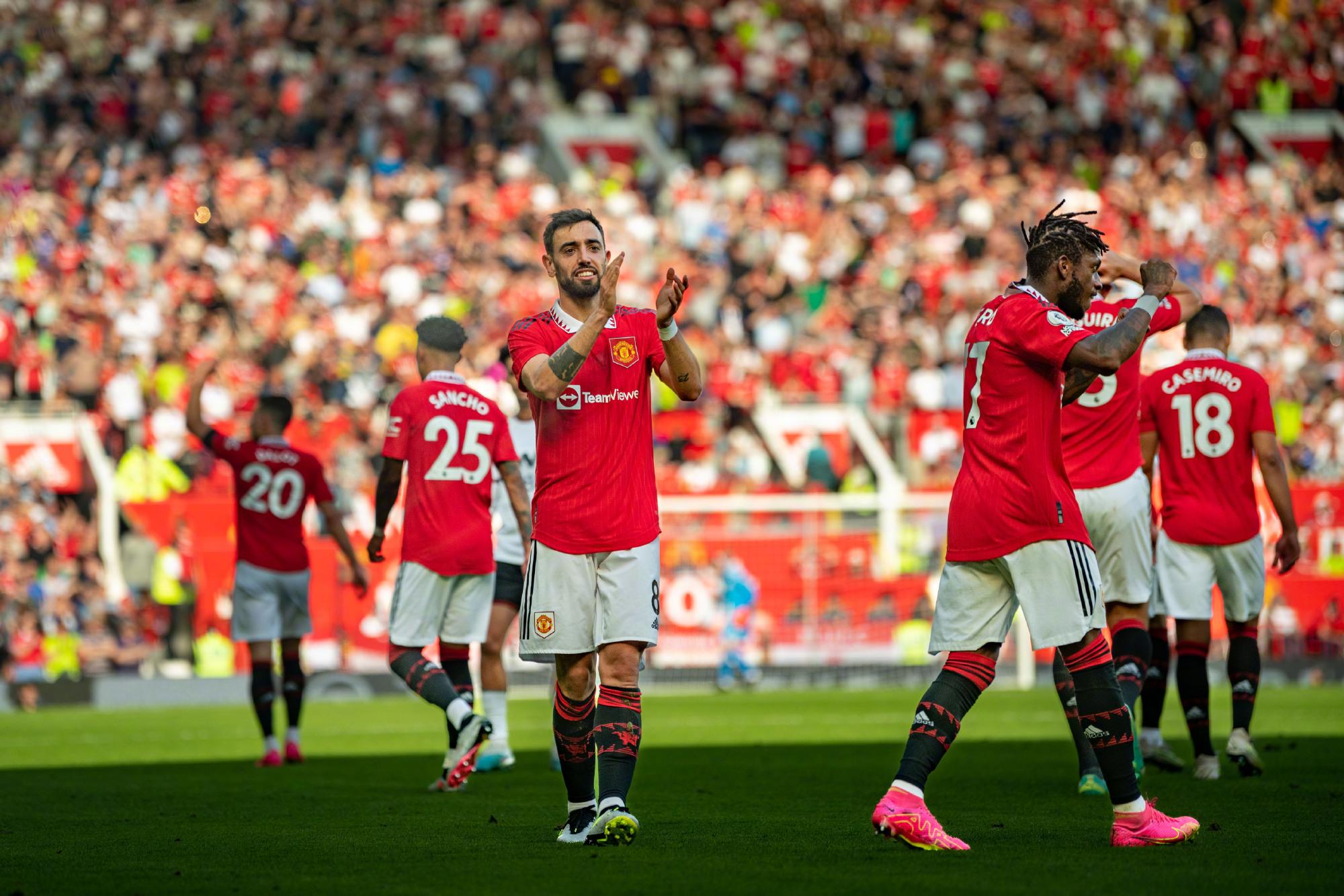 他们培养出 他们培养出